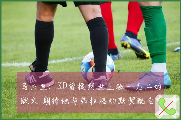 乌杰里:KD曾提到世上独一无二的欧文 期待他与弗拉格的默契配合